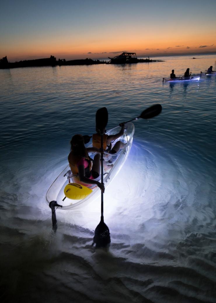 昆士蘭州摩頓島的Sunset Safaris©Sunset Safaris